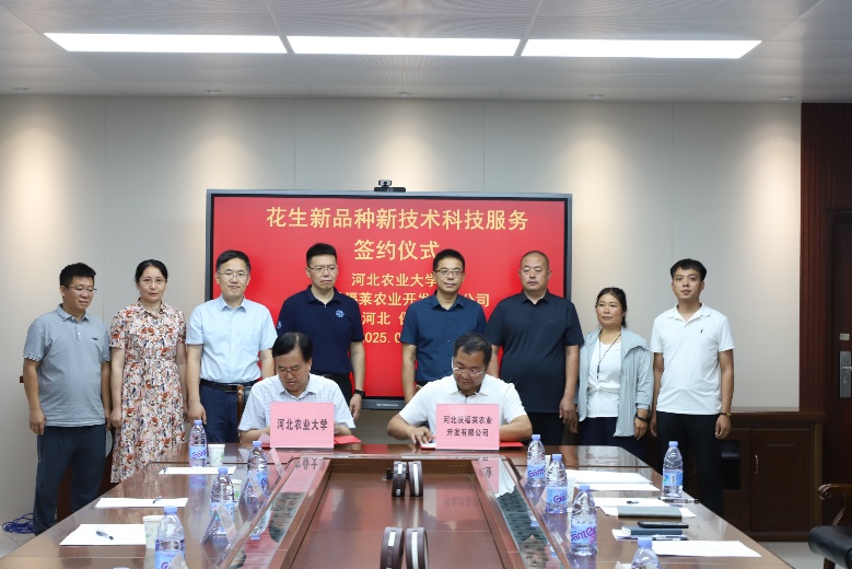 “冀農(nóng)花18號(hào)”成果轉(zhuǎn)讓暨花生新品種新技術(shù)科技服務(wù)簽約儀式在我校圓滿舉行